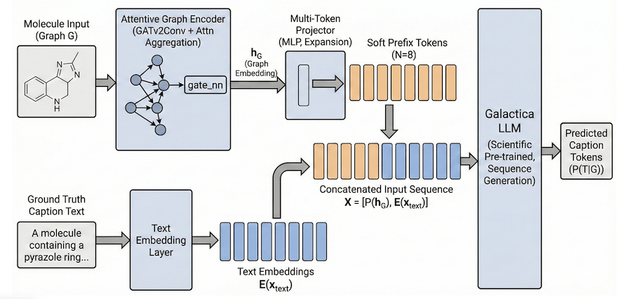 Generative molecular graph captioning pipeline using an attentive graph encoder, multi-token projector and Galactica
